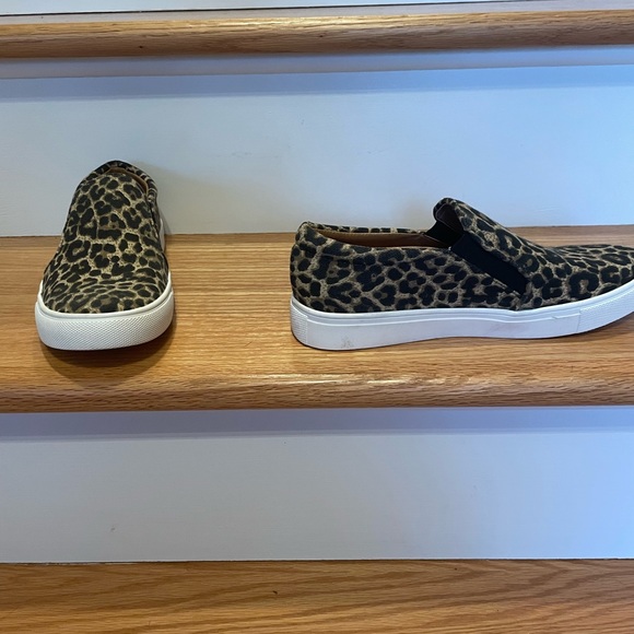 Report shoe - Picture 9 of 10